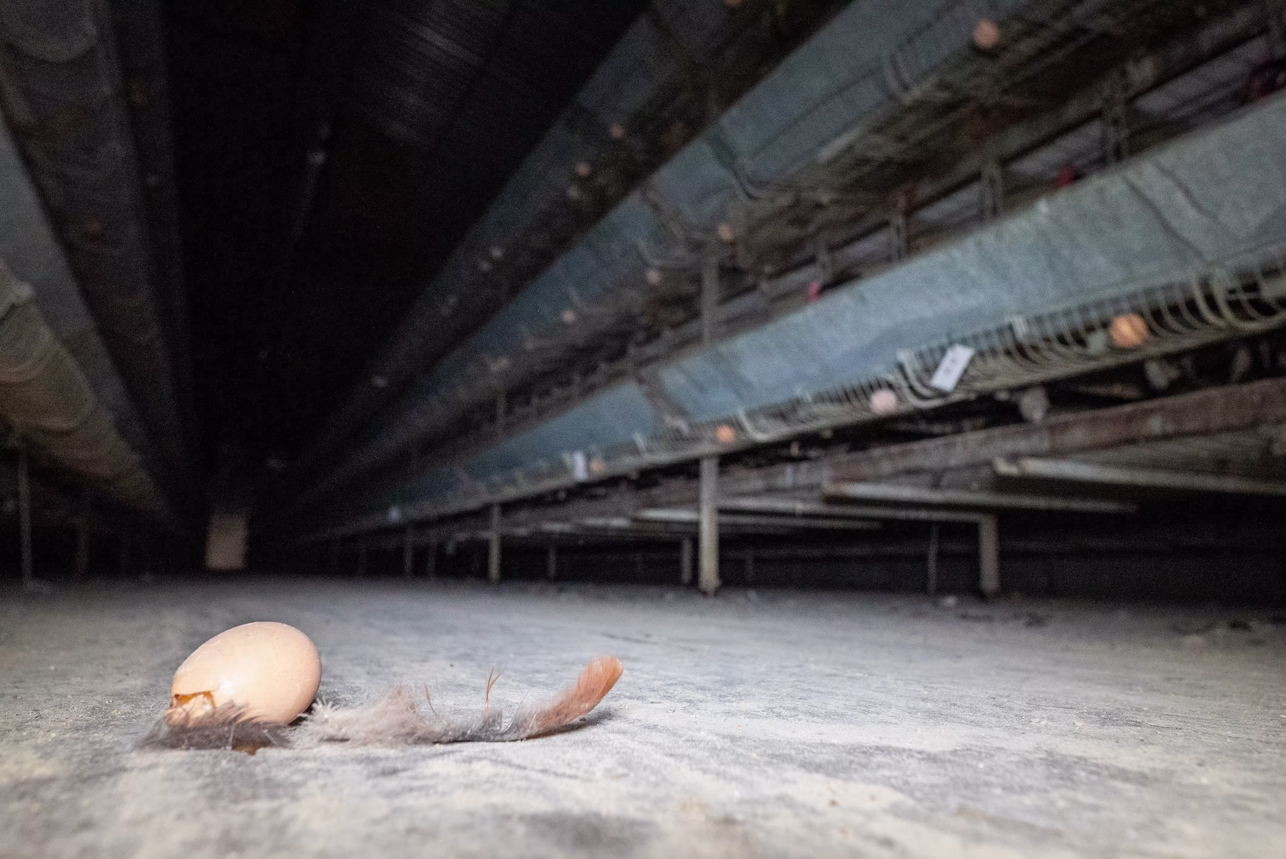 CF Investigation Blog Post Hero