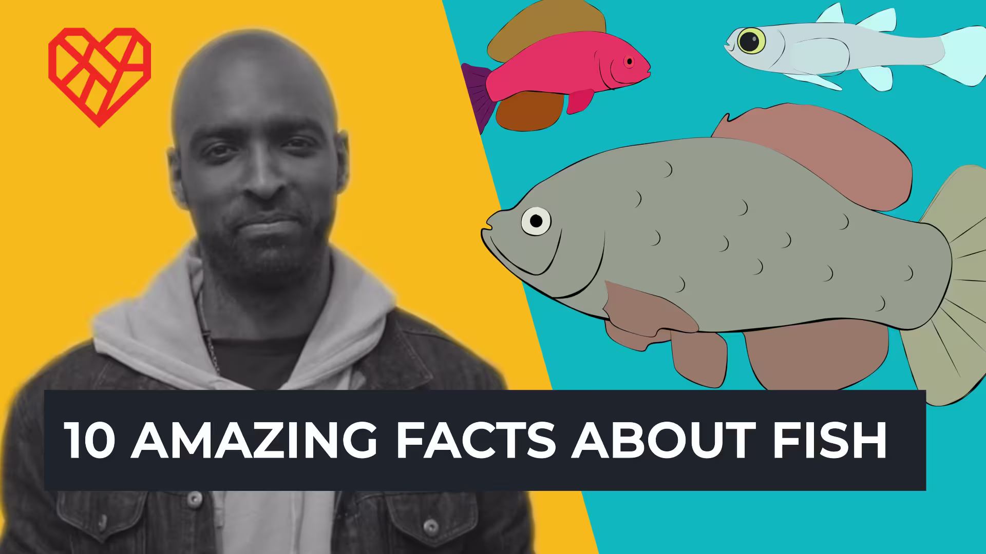 Illustration of a fish with man in front. Text: 10 amazing things about fish