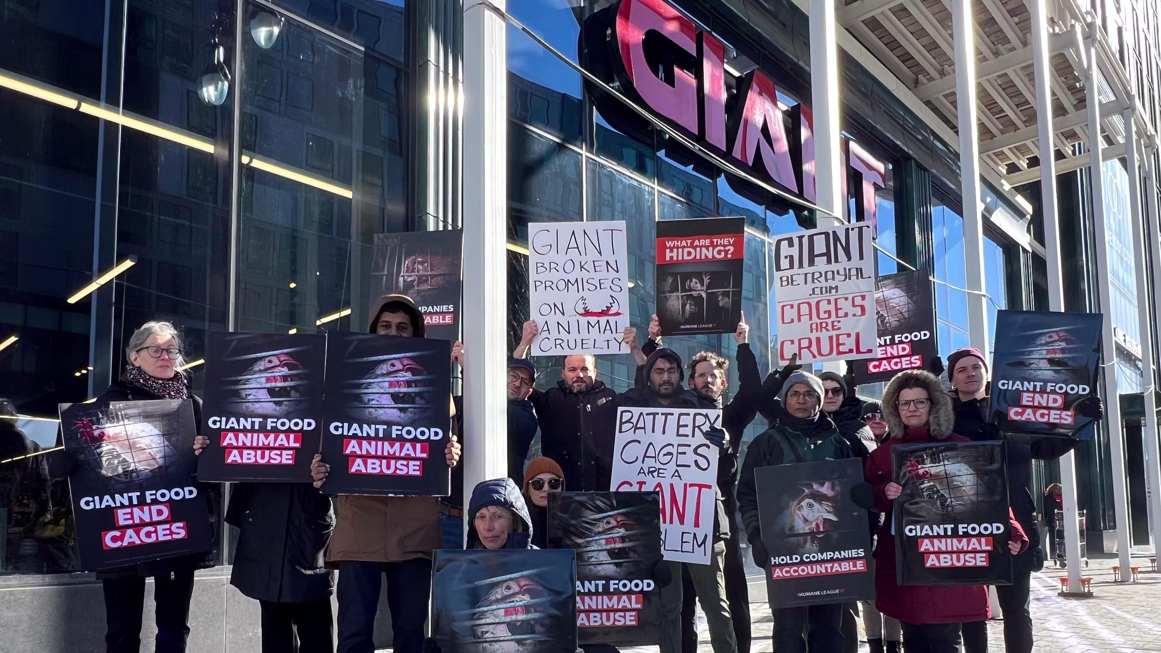 They need to go image