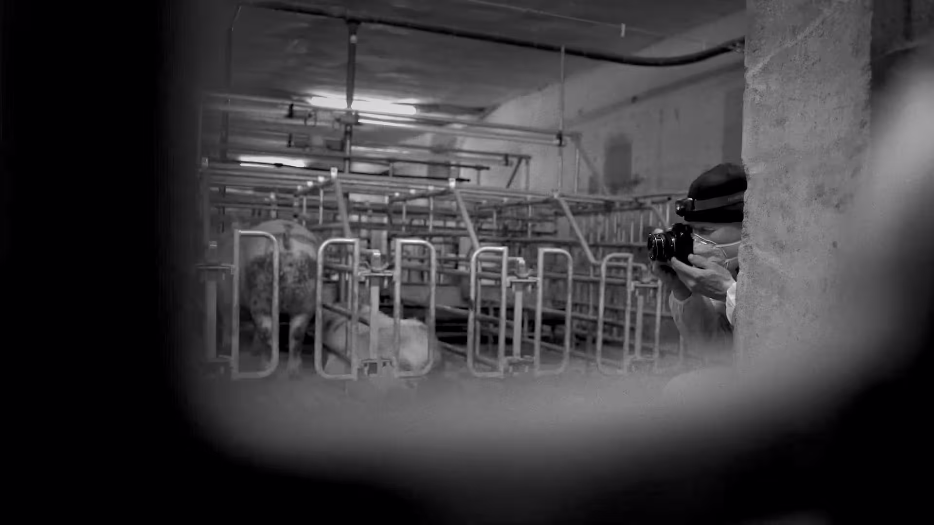 TimoStammbergerInvestigator Thumbnail1