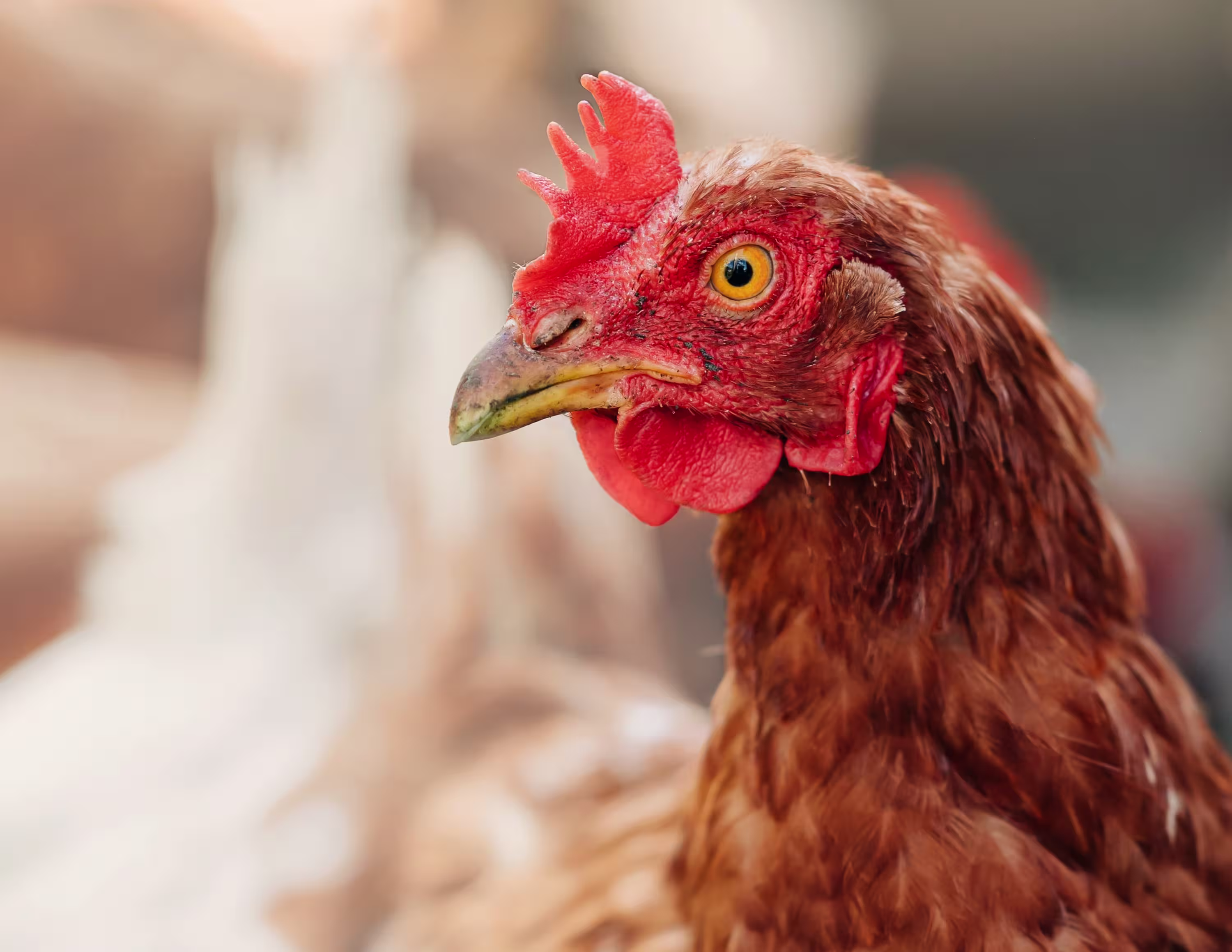 2023 Annual Report header