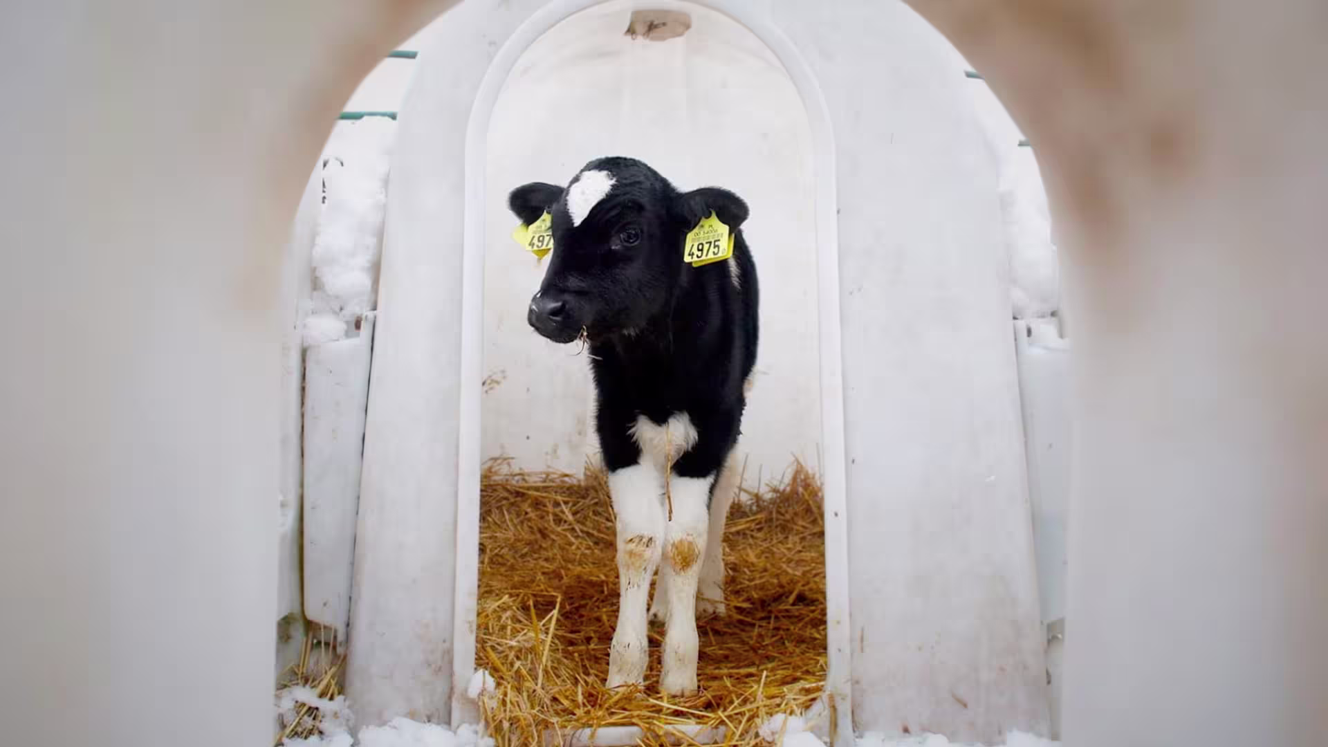 AndrewSkowronInvestigator Thumbnail1