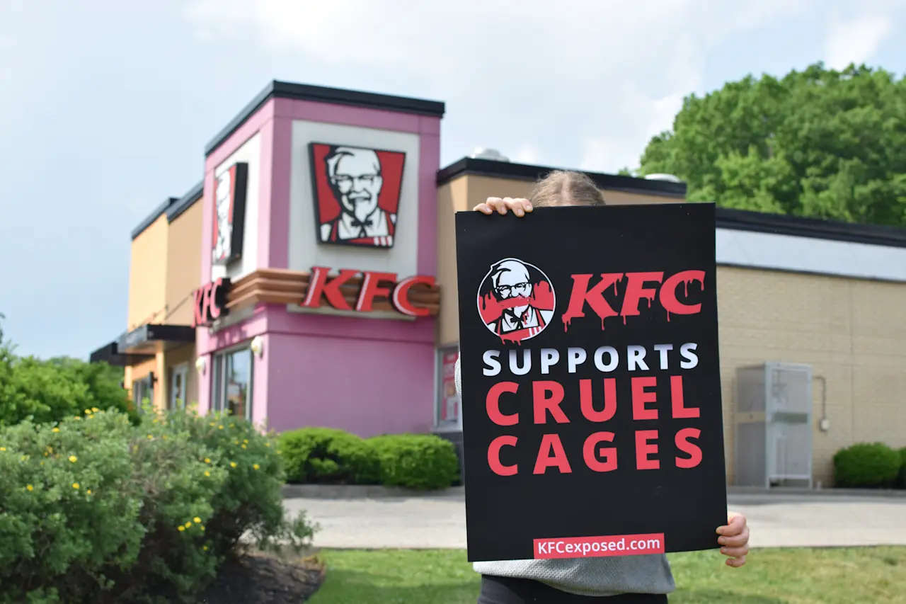 KFc protest photo