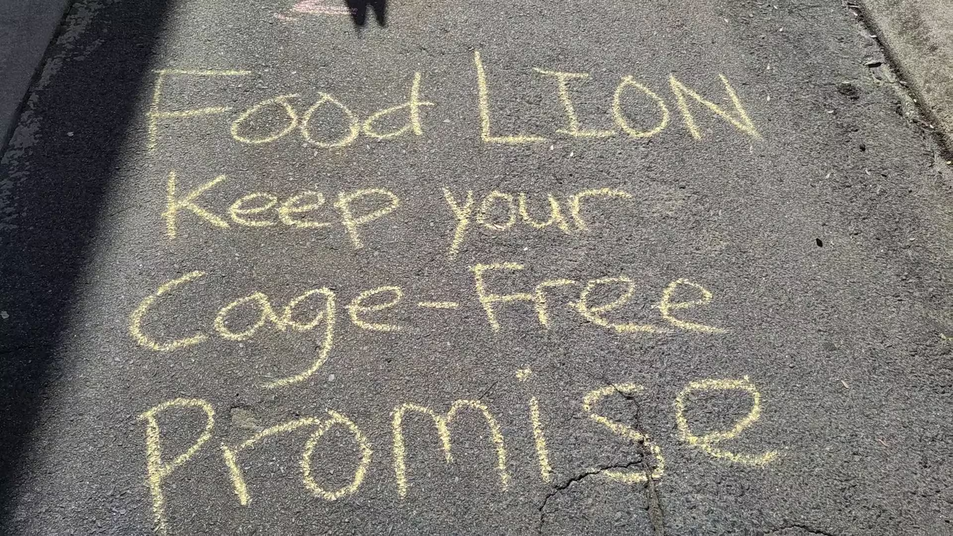 Local protesters leave image