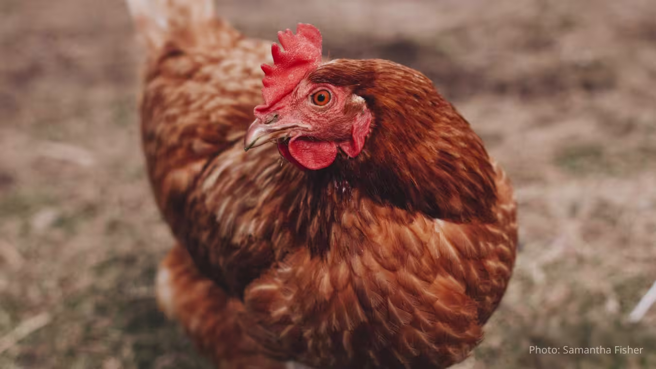 Email---Hero-Image 2025-9-18-15-59-1