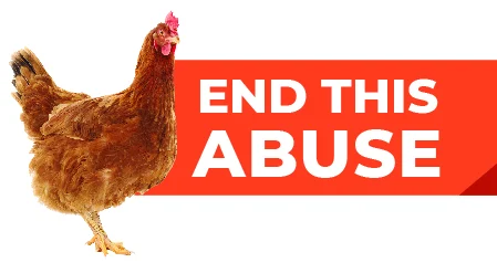 End This Abuse