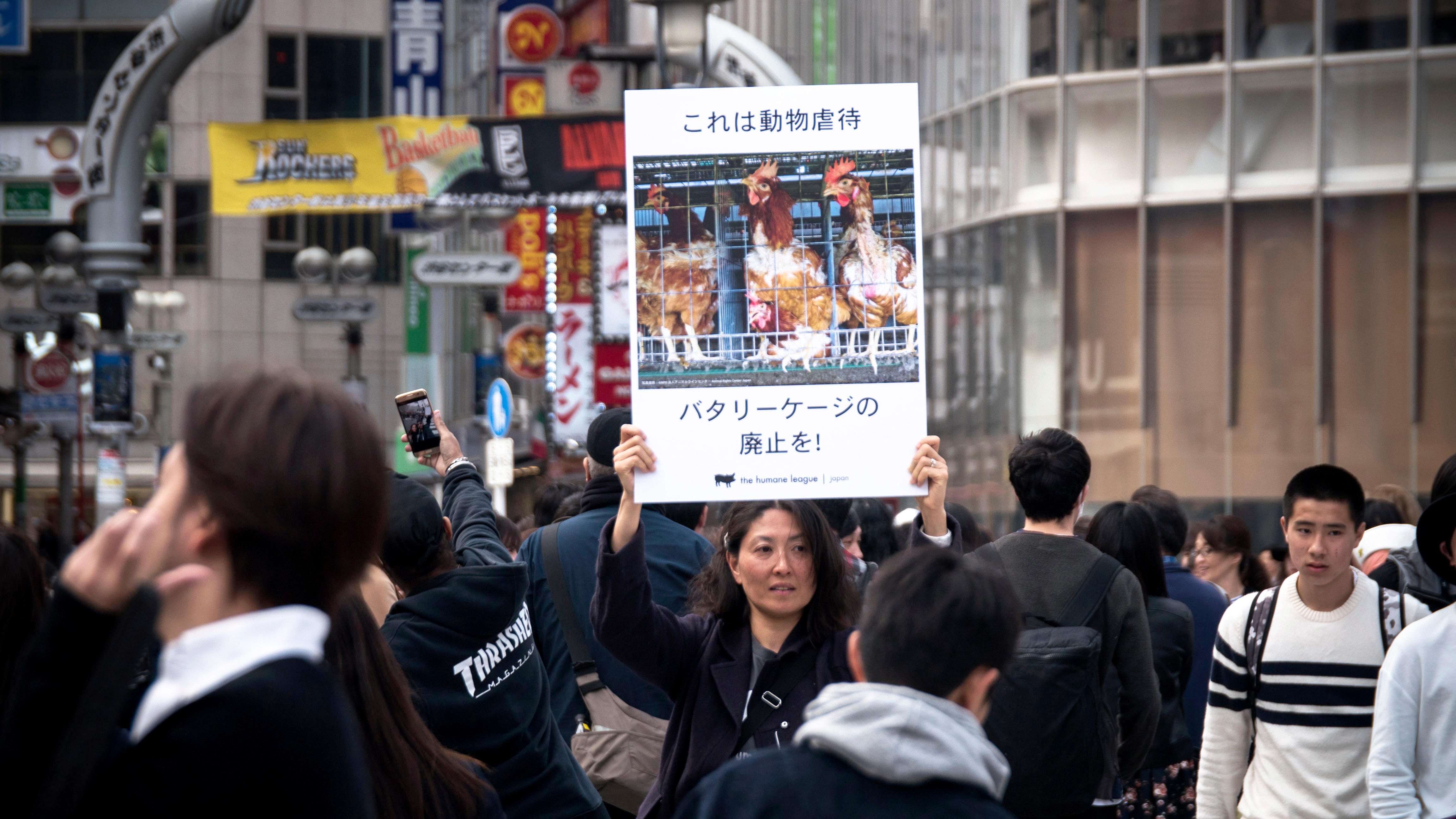 THL Japan Maho Uehara Mondelēz demonstration 2017