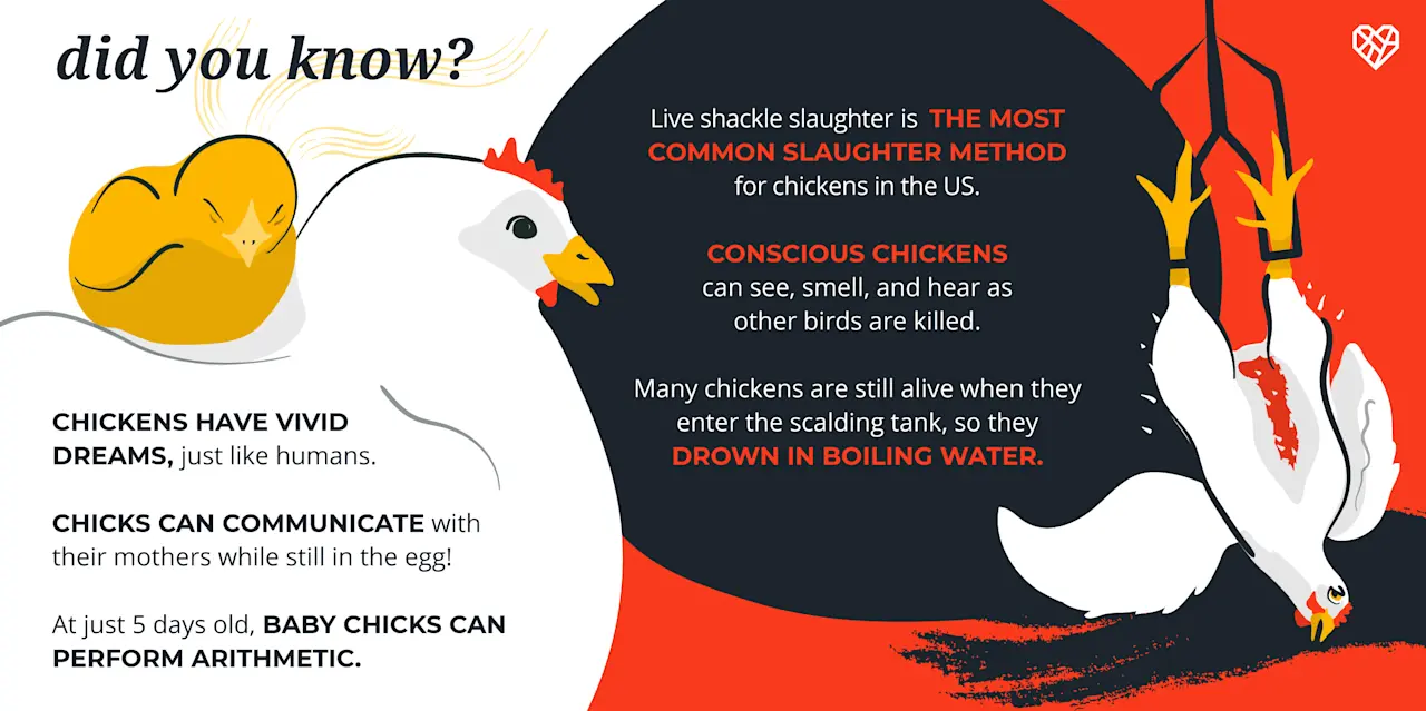 dev-sm-chicken-facts-LSS-action-FB-TW