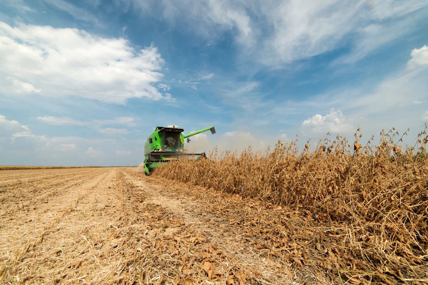 Tyson Foods fails to meet sustainability goals