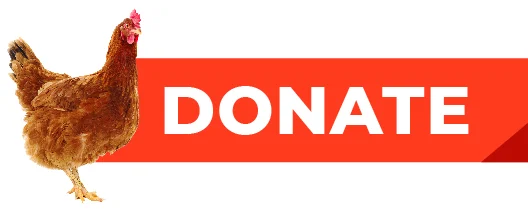 Donate