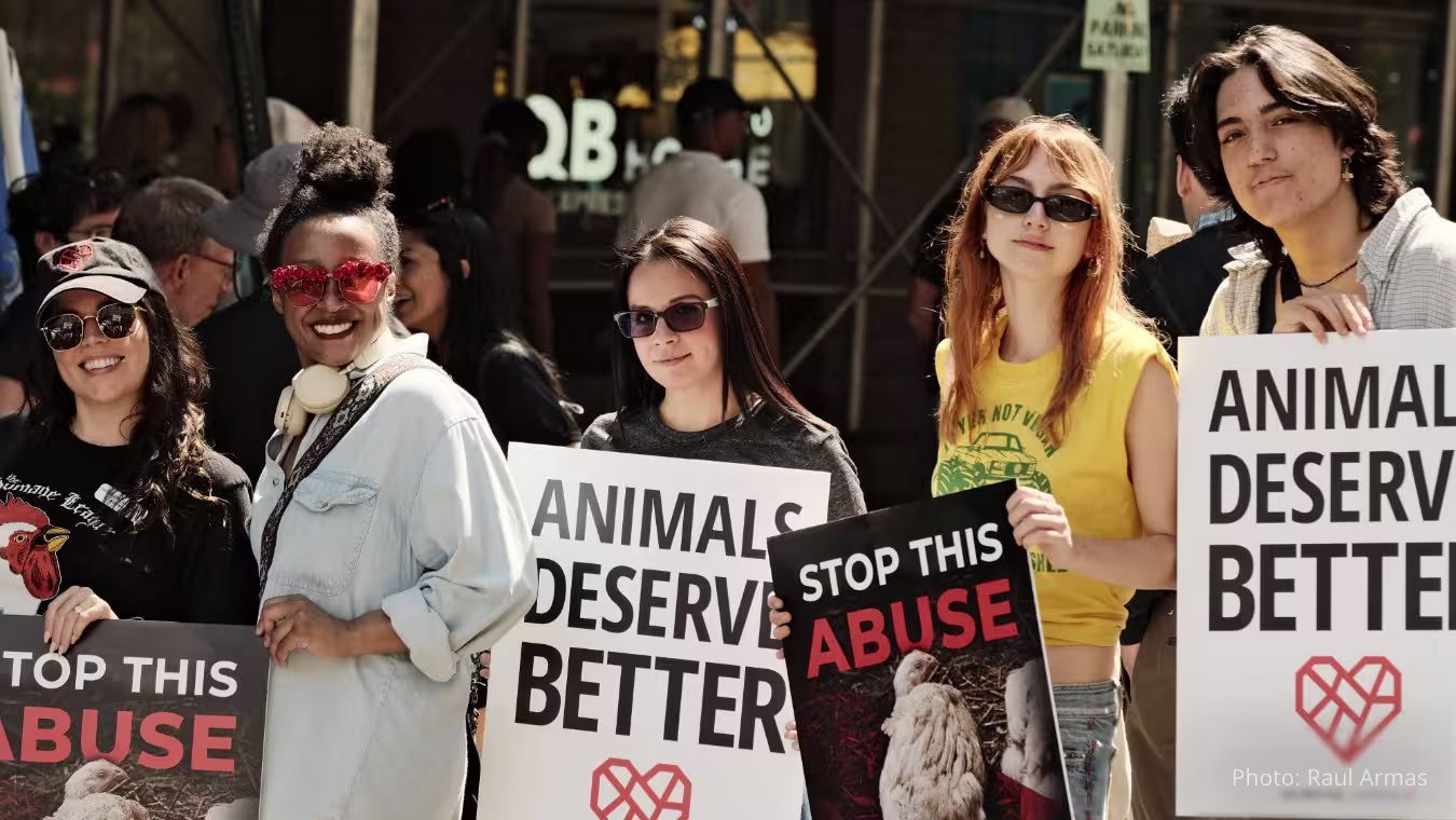 Email---Hero-Image 2023-9-19-11-56-13 (1)