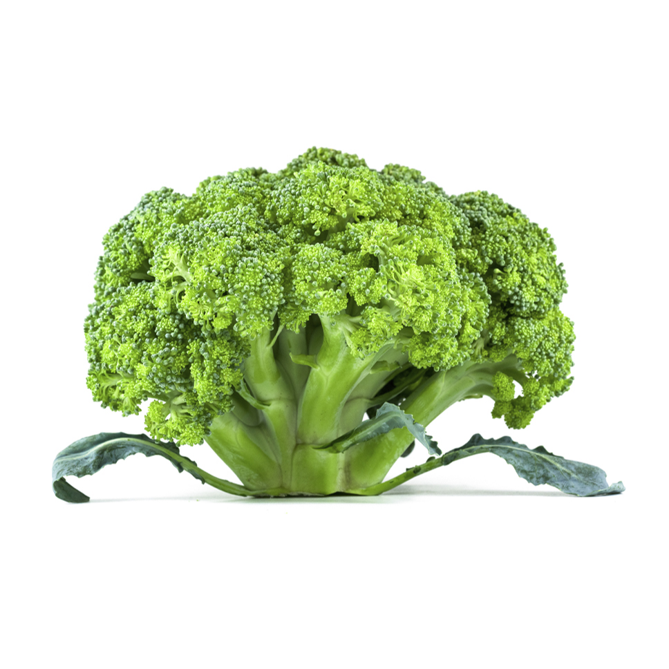 broccoli 