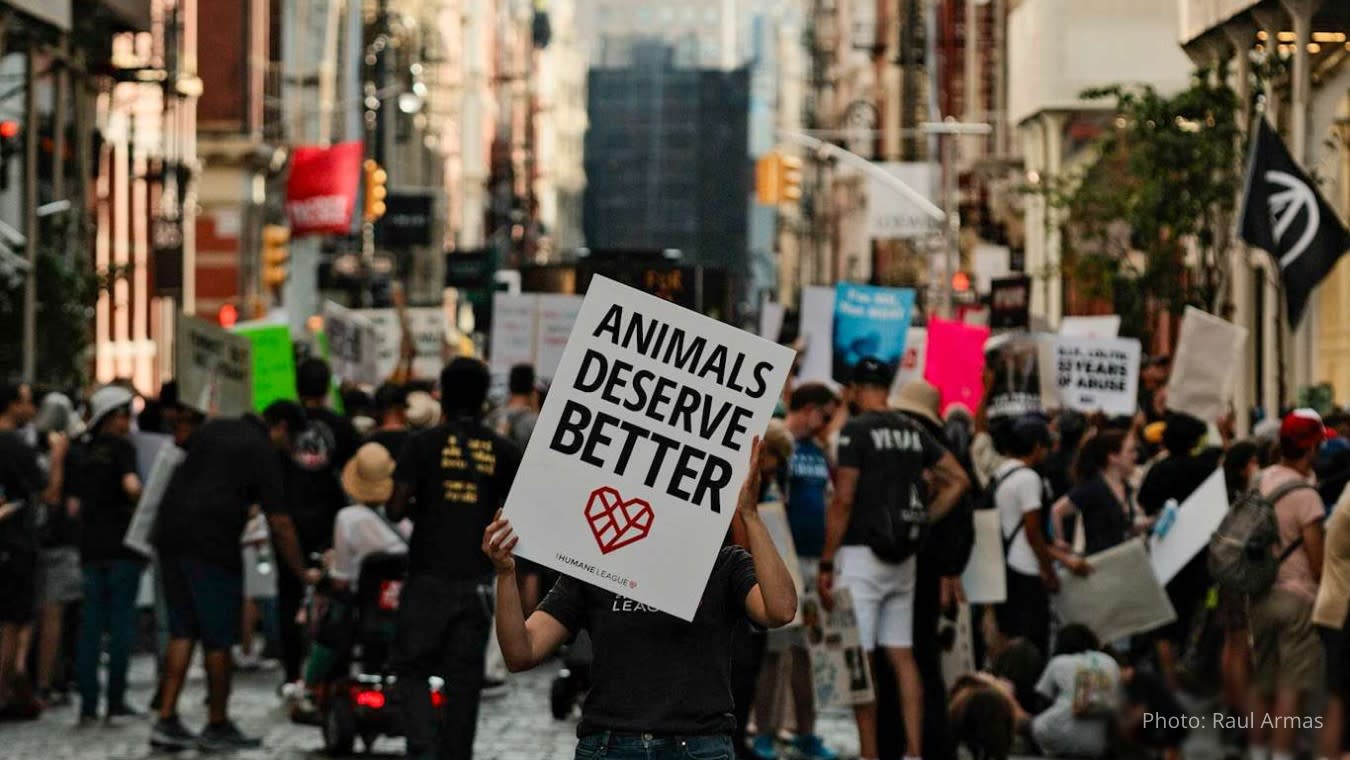 Protestors at the 2023 NYC Animal Liberation March
