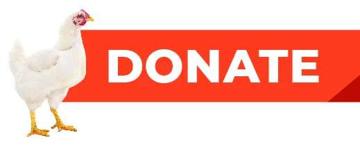 Donate