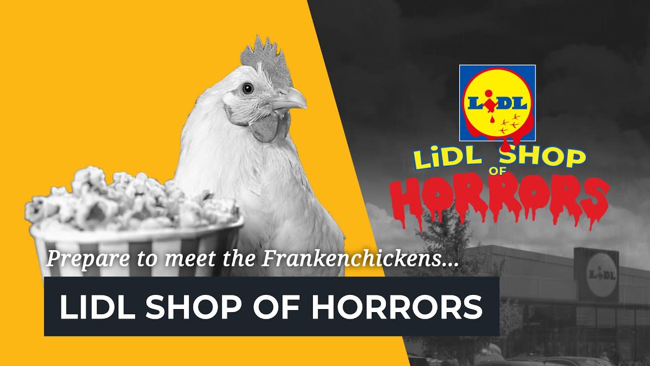 Lidl shop of horrors thumbnail