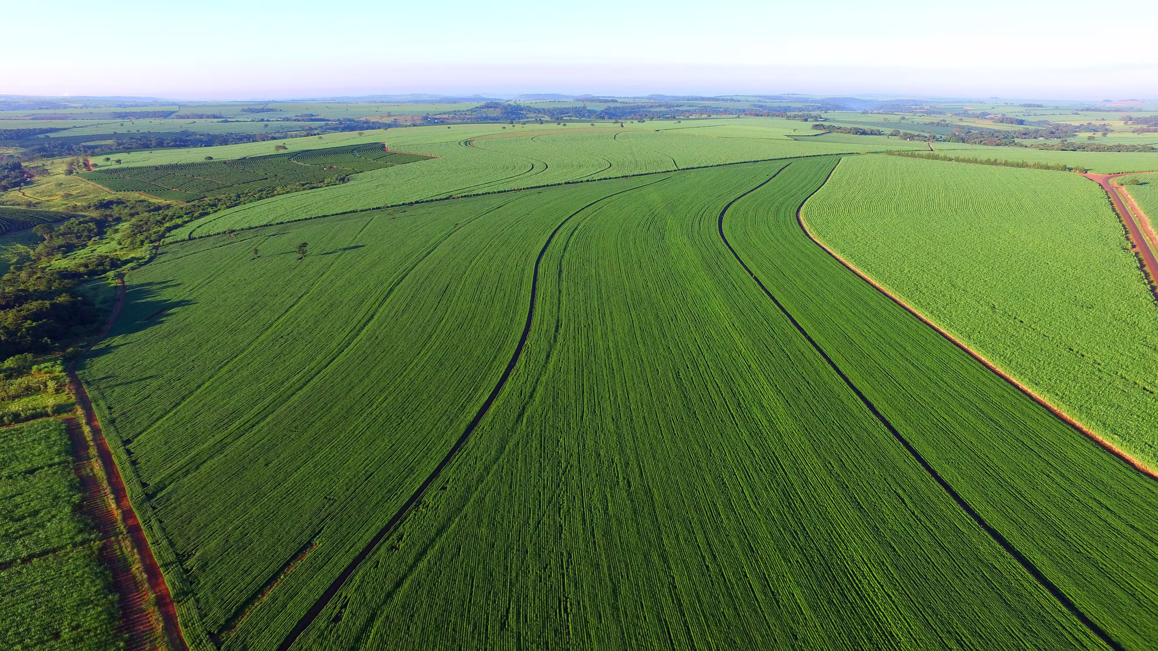 New factory farm image