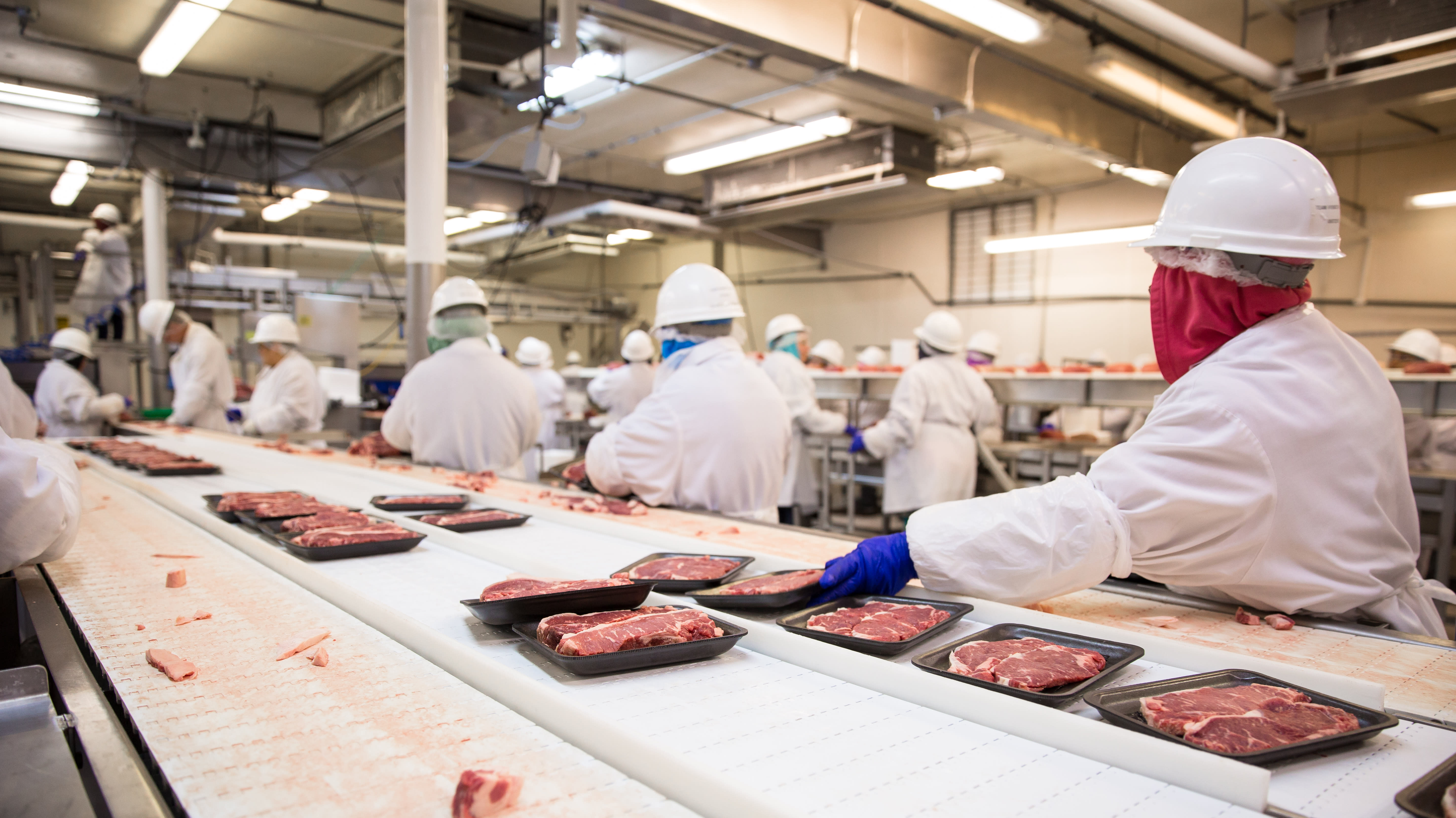 Animal meat assembly line shutterstock