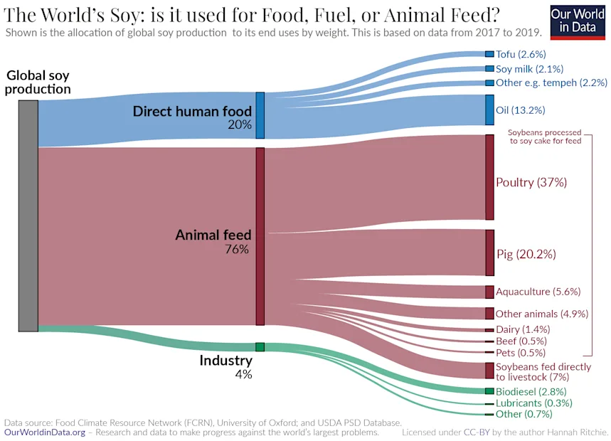 What Is in Animal Feed? The Animal Feed Industry
