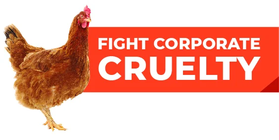 Fight Corporate Cruelty Widget 4