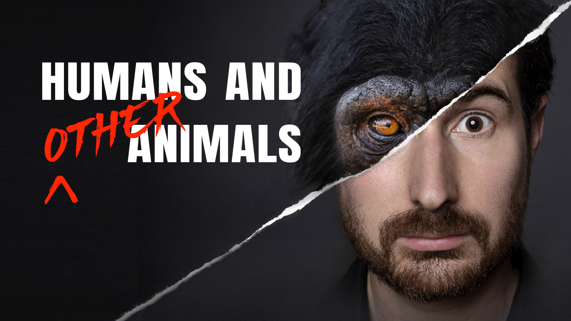 Humans and other animals image