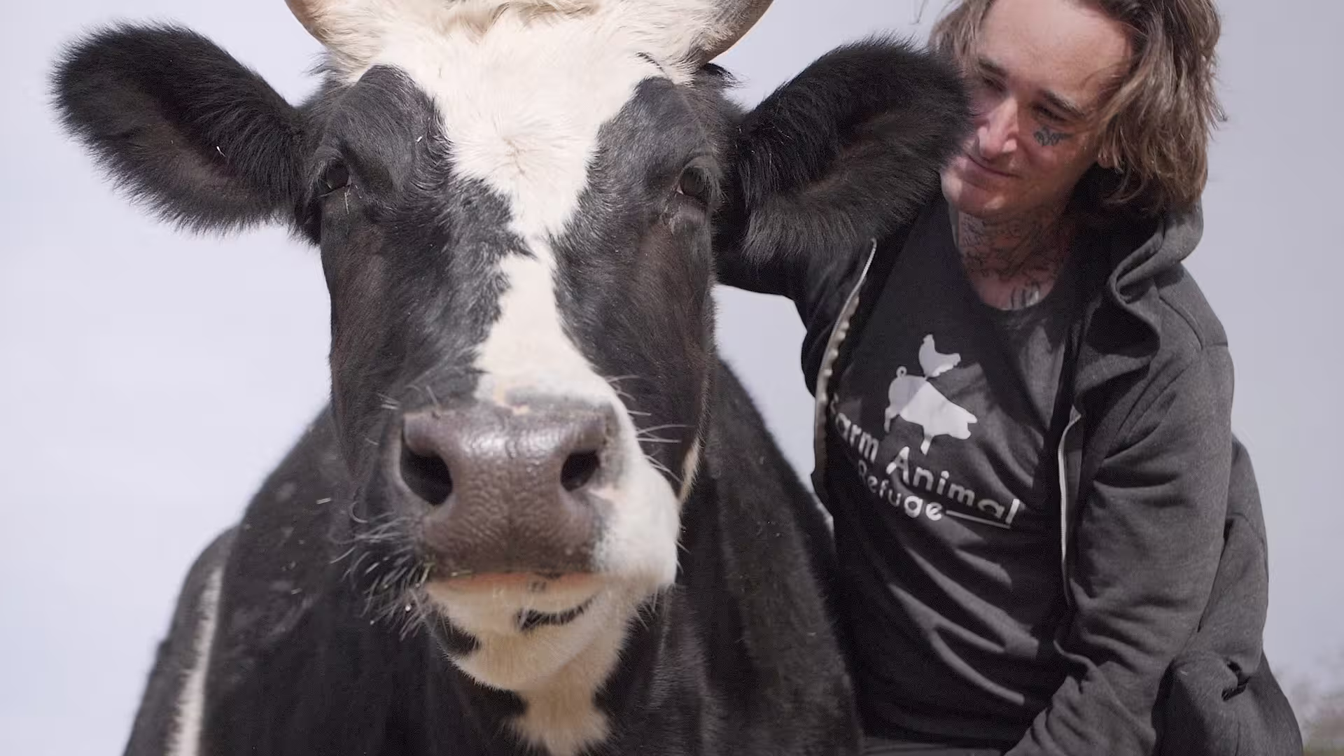 FARGrassPuppies Thumbnail1