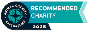 ace-2025-badge-recommendedcharity copy small size 288 × 101
