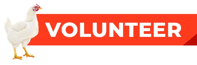 Volunteer