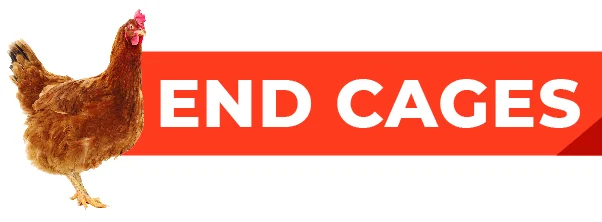 End Cages