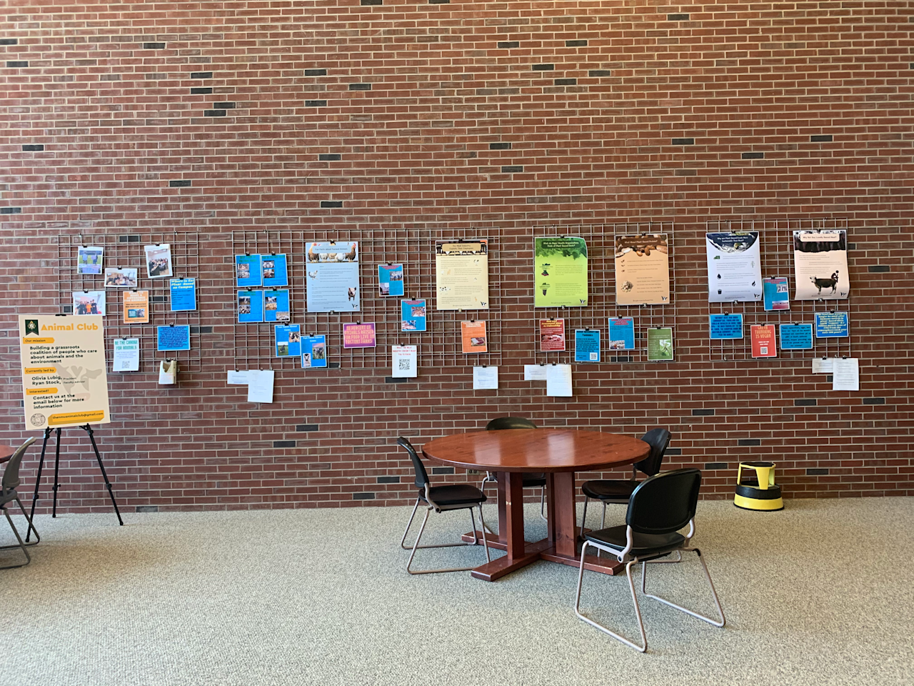 Students from The Northern Michigan University Animal Club organized a display in their library on the various benefits of a plant-based diet