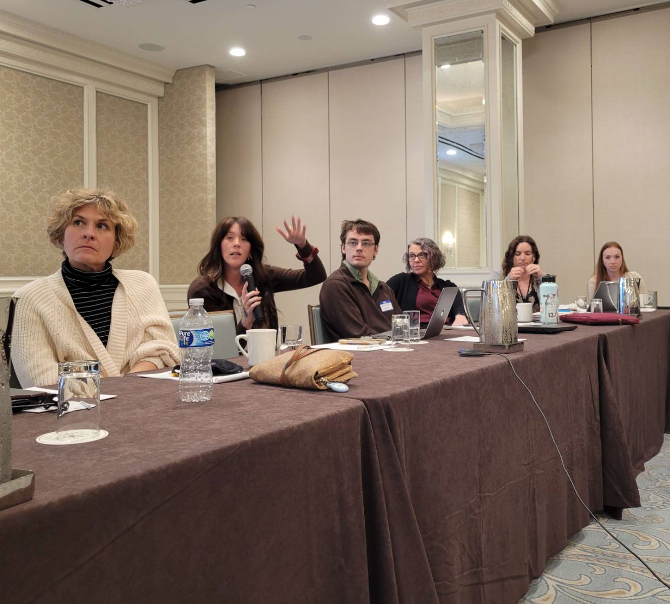 APA Summit Main Image