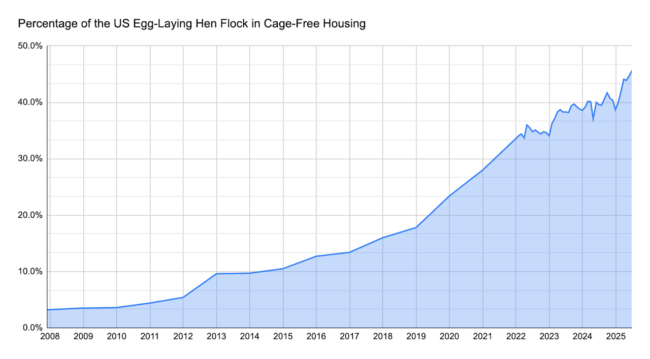 Historical Data on Cage-free Flock July 7 2025