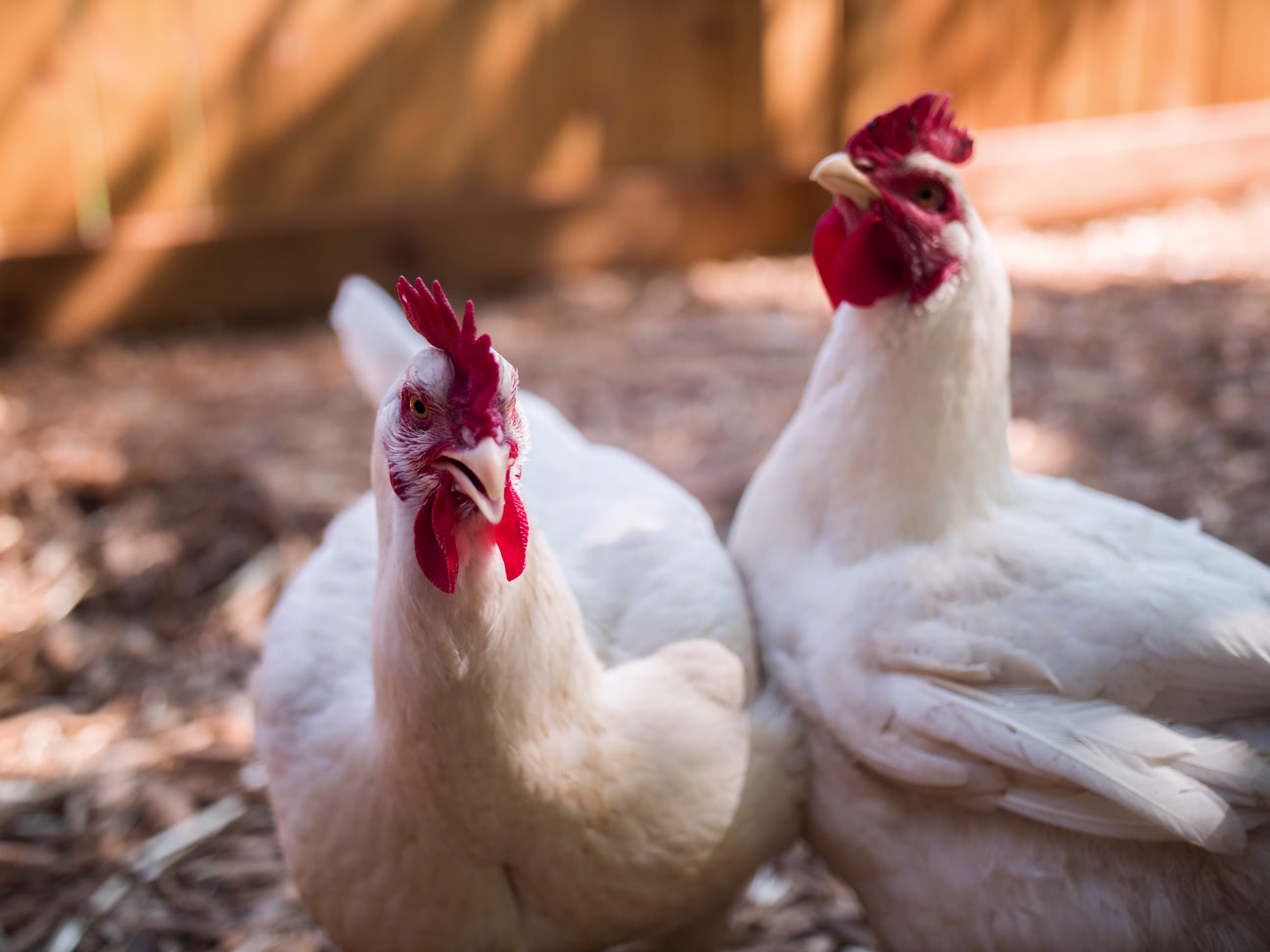 7-Eleven ESG Report Image