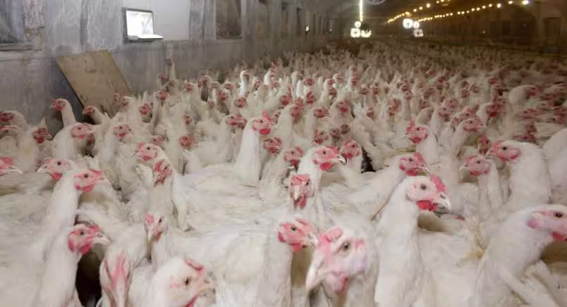 WAPO Op-Ed Mini Image