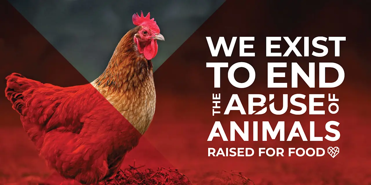 THL-mended-heart-mission-statement