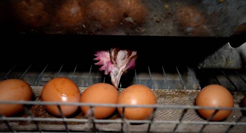 Homepage-Story-Image 2025-6-26-14-28-15