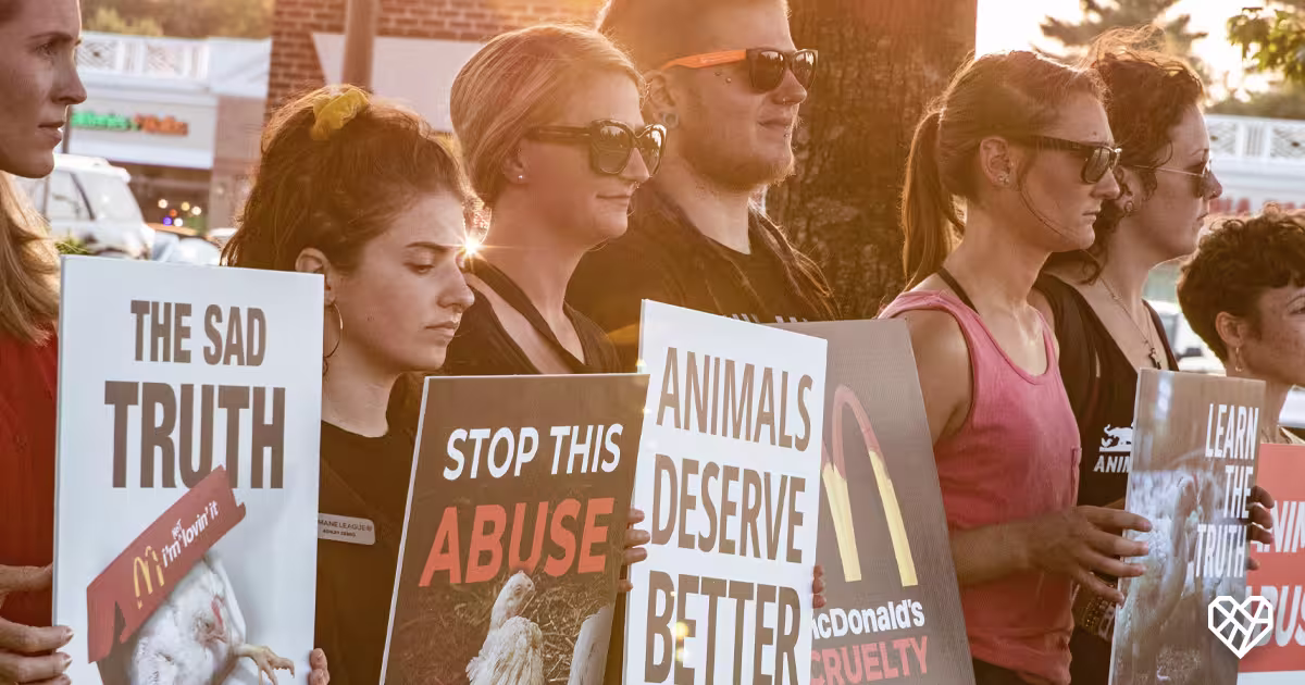 protest-line-the-humane-league-mcdonalds-animal-welfare-campaign