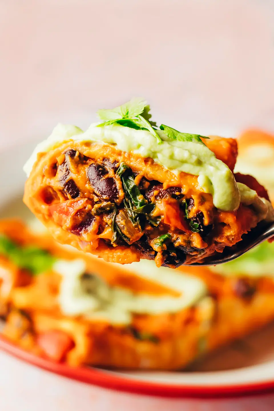 Est Less Meat How to eat less meat: Benefits, tips, and recipes | The Humane League