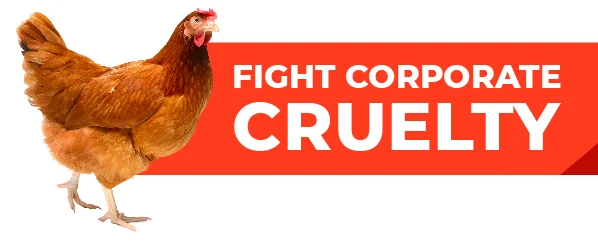 Fight Corporate Cruelty