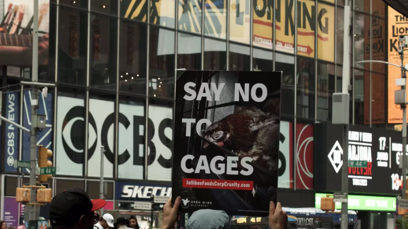 Email---Hero-Image 2023-8-31-14-52-3