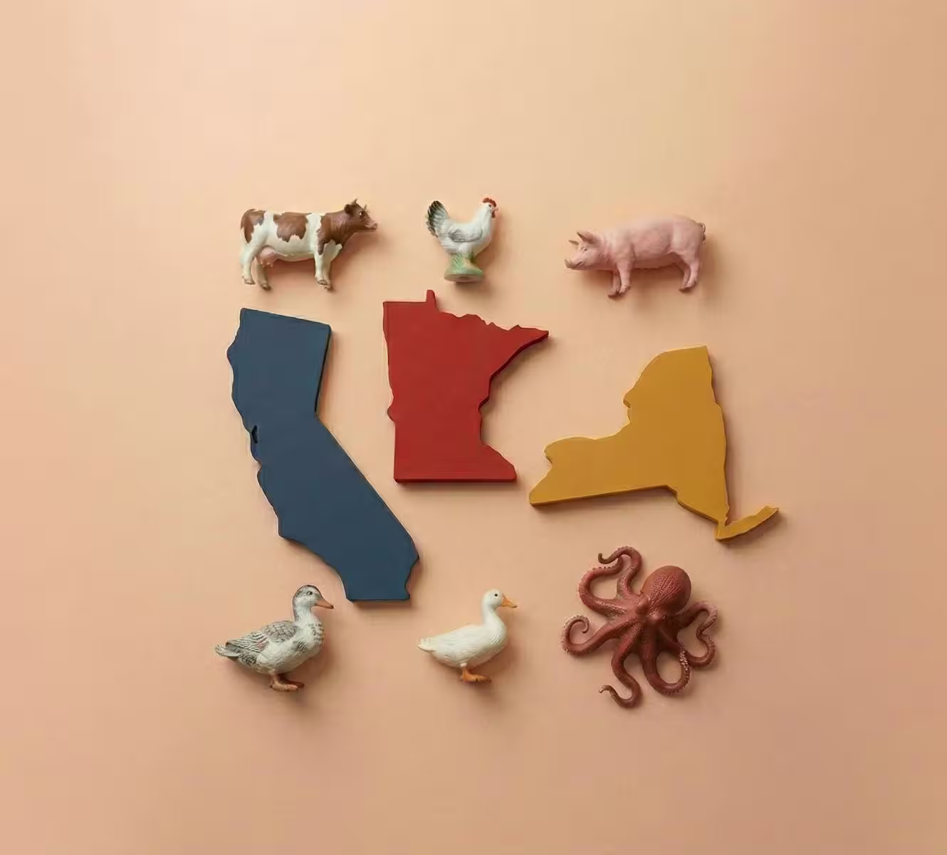 Homepage-Story-Image 2026-3-31-10-29-33