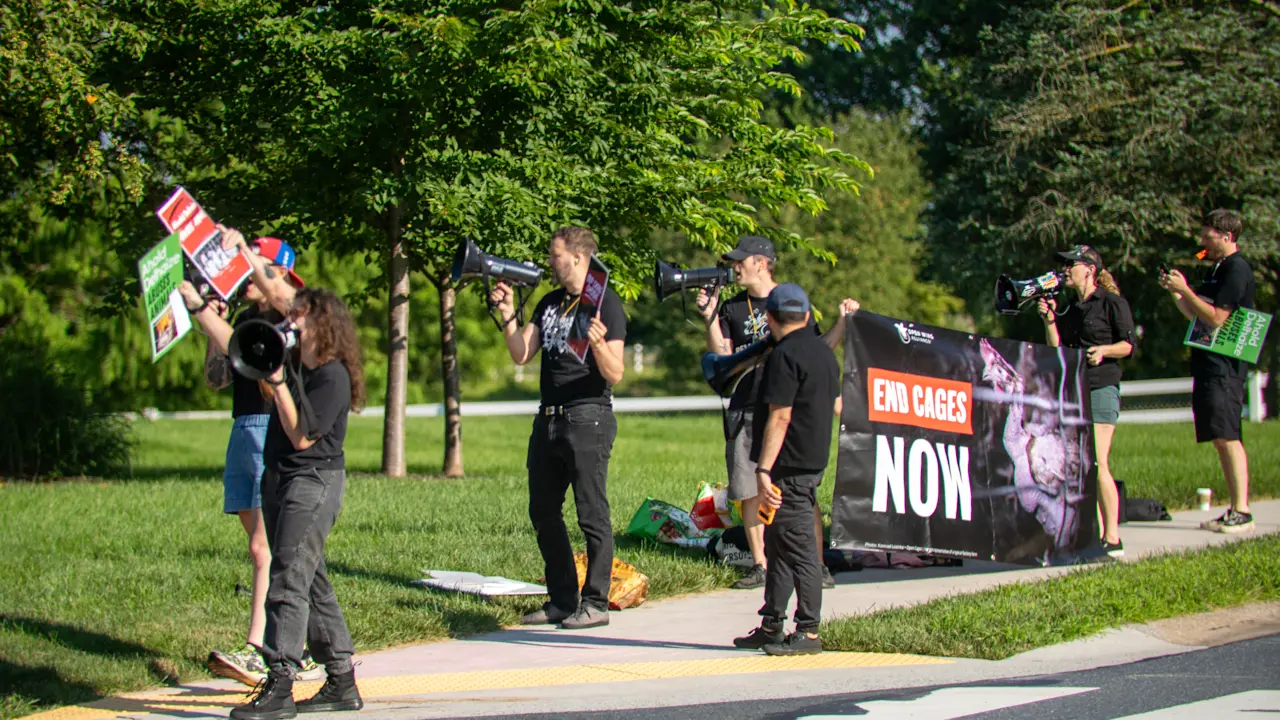 P1014560 Ahold Delhaize Hershey protest