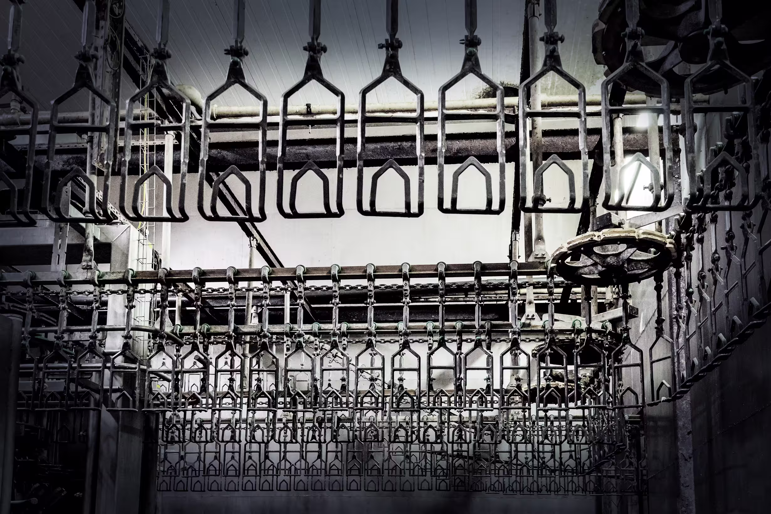 empty-chicken-live-shackle-facility