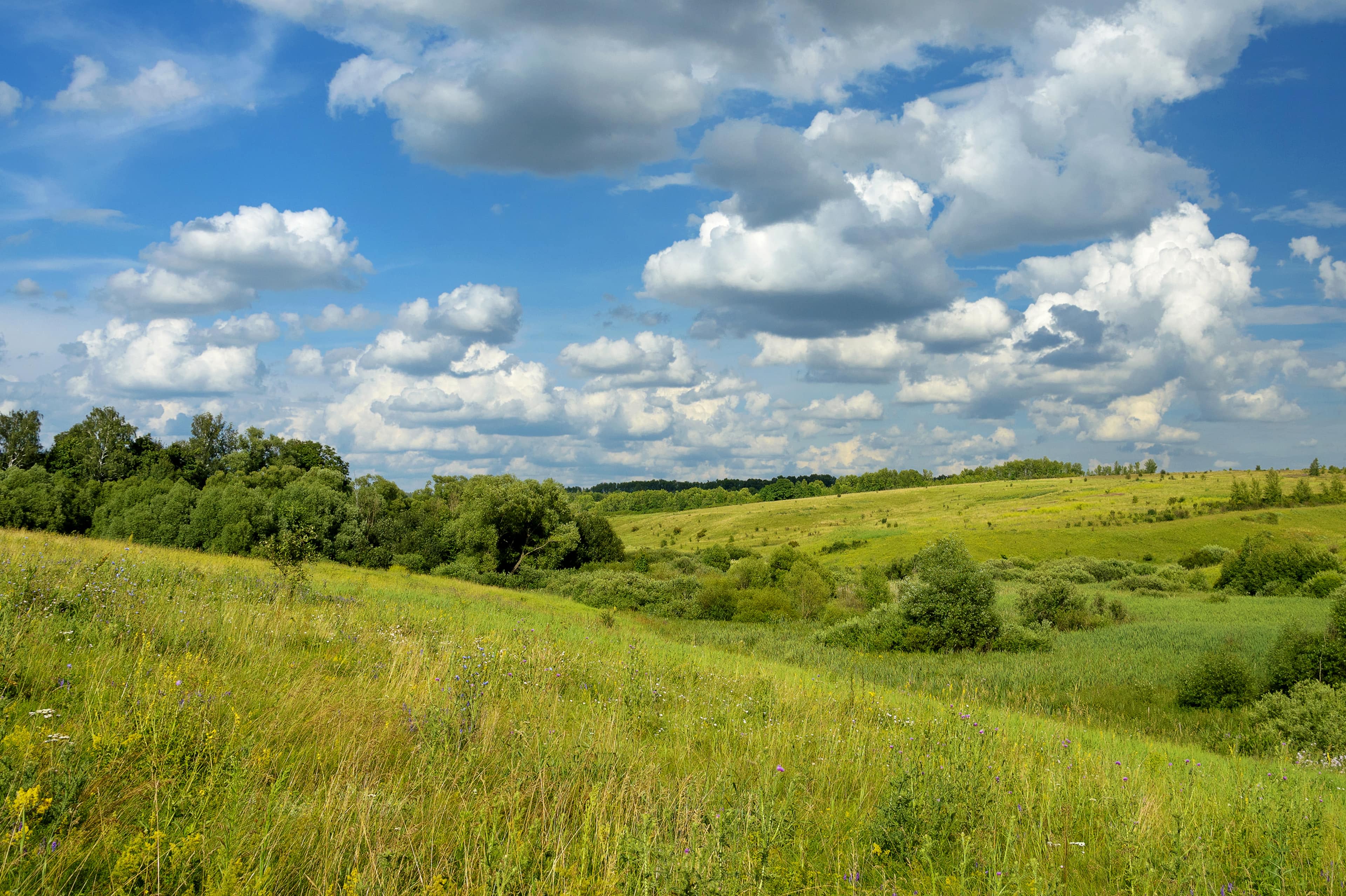 rolling-green-fields-healthy-environment