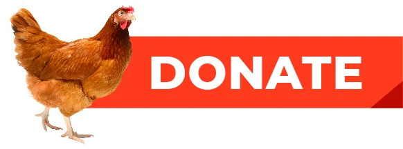 Donate