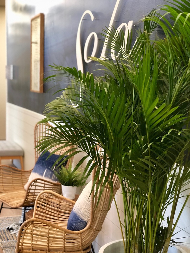 Sola Salon Studios
