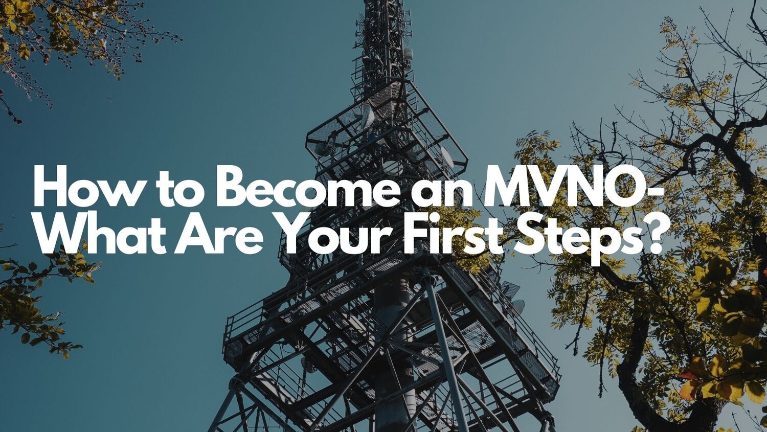 How to Become an MVNO- What Are Your First Steps?