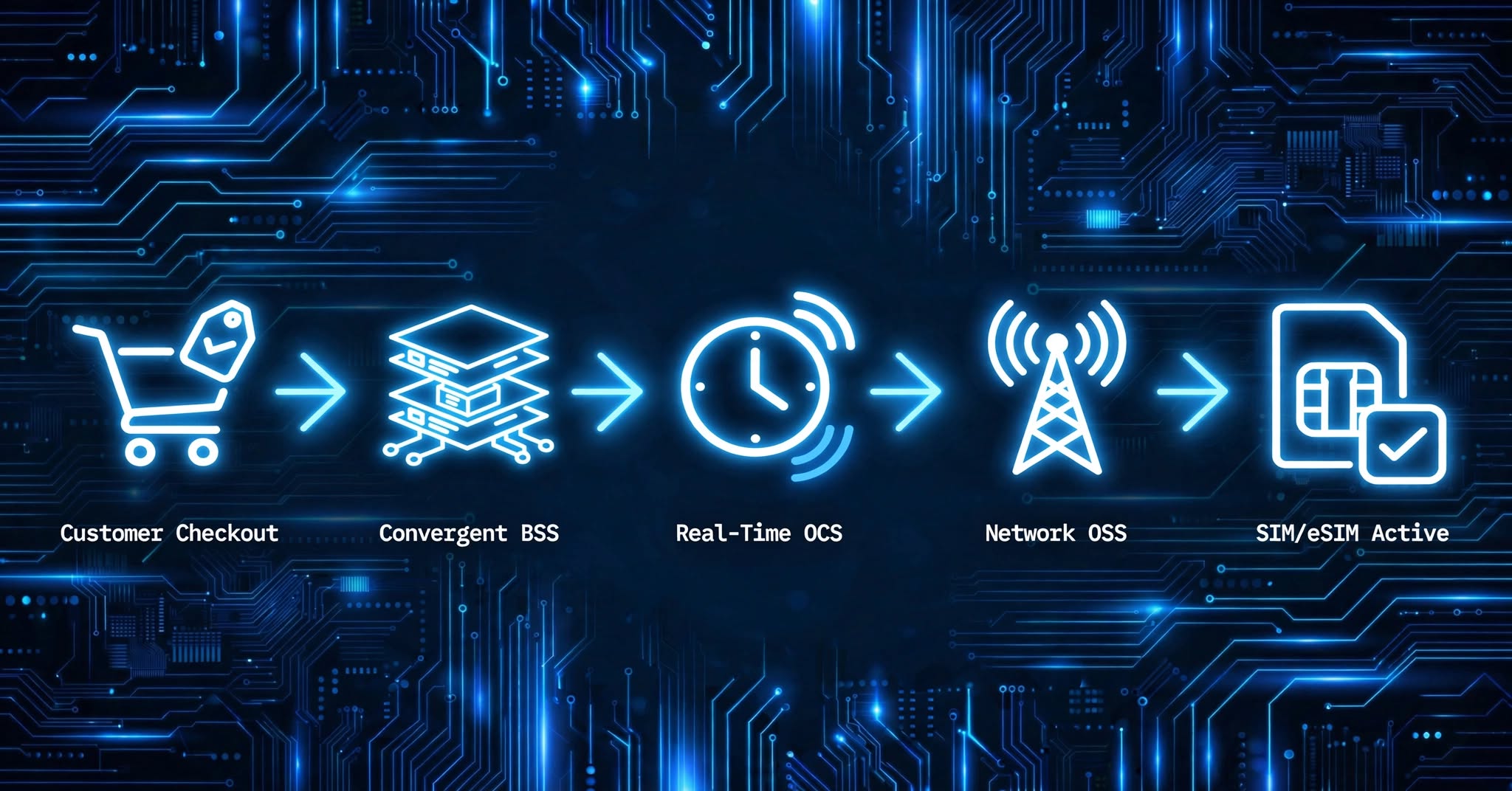 Systems Integration