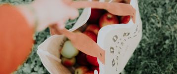 Bag of apples viewed from above