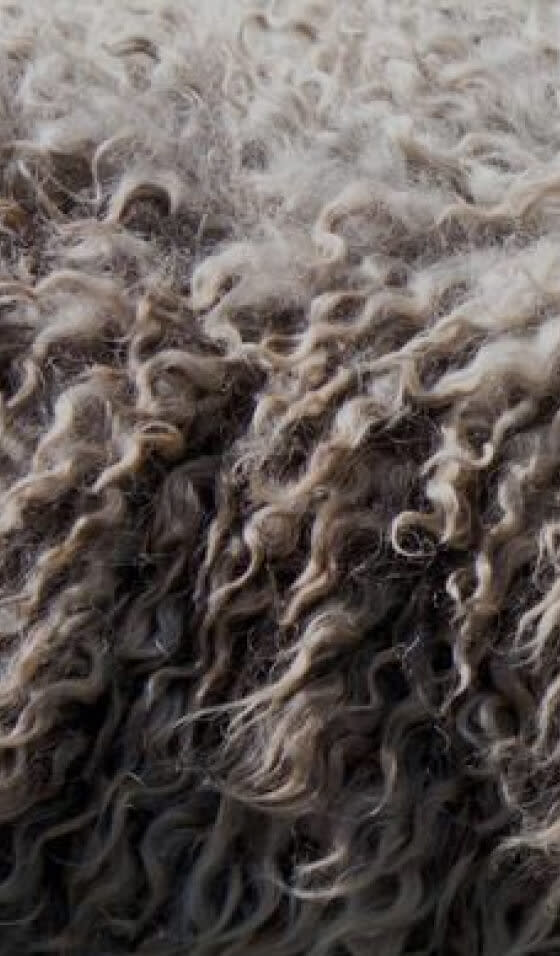 our-sustainable-materials-merino-wool-image