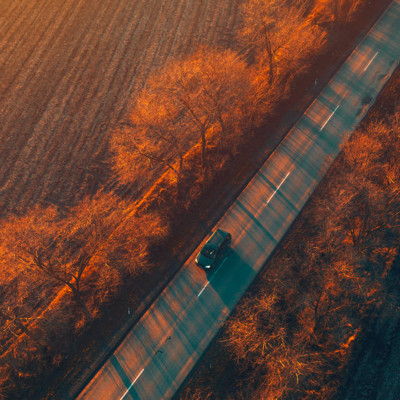 The rhone trip SBS 2 image tile